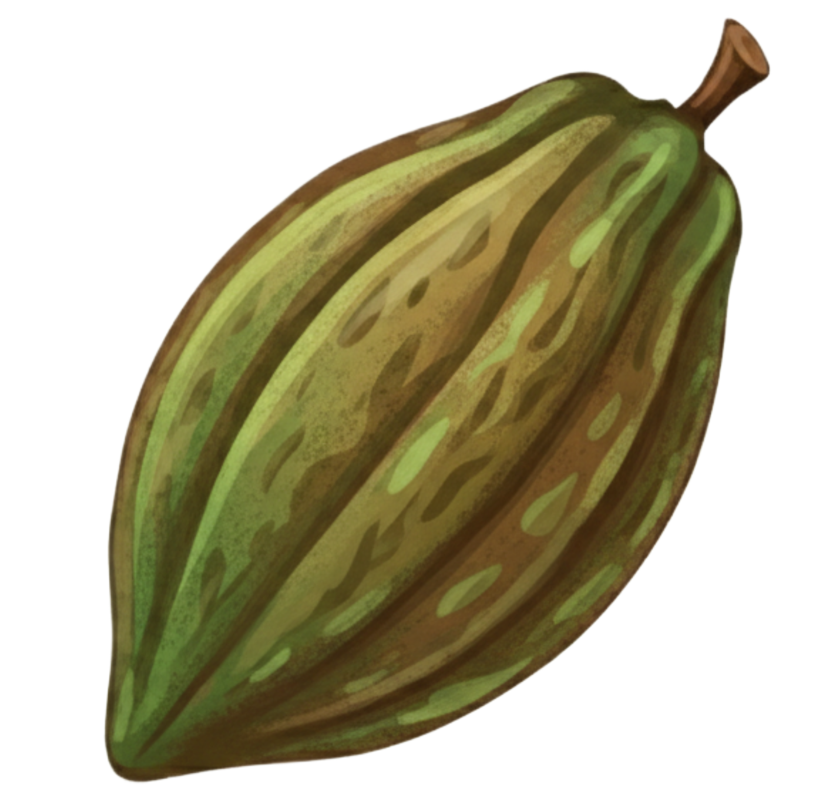 Cacao